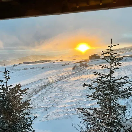 Standing Exceptionnel 木屋 *